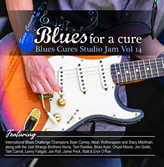 Blues Cures Studio Jam Vol. 14  CD