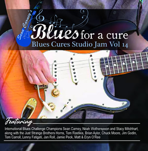 Blues Cures Studio Jam Vol. 14