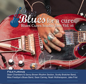 Blues Cures Studio Jam Vol. 16